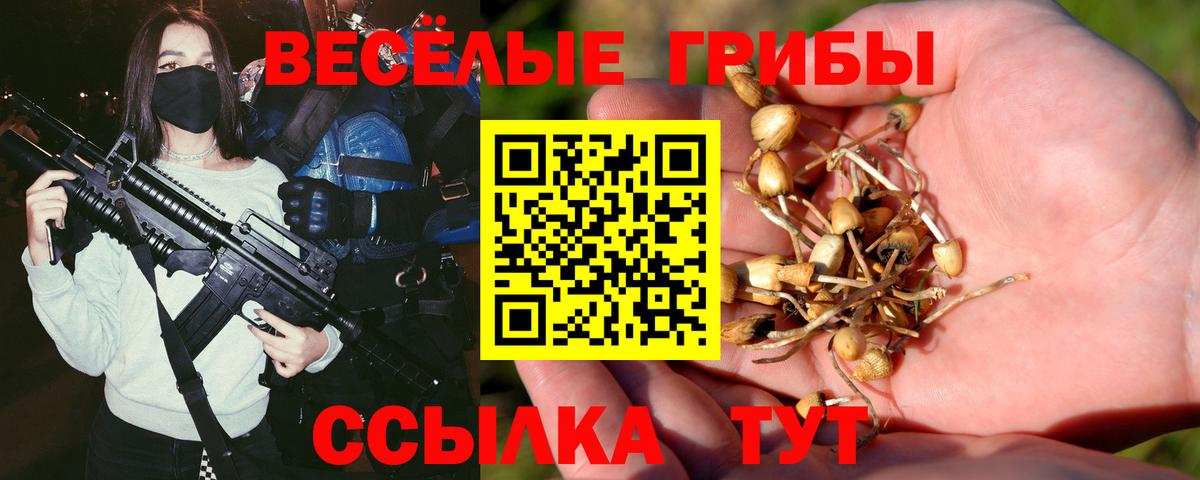 Галлюциногенные грибы MAGIC MUSHROOMS  Вход с VPN  Моздок 