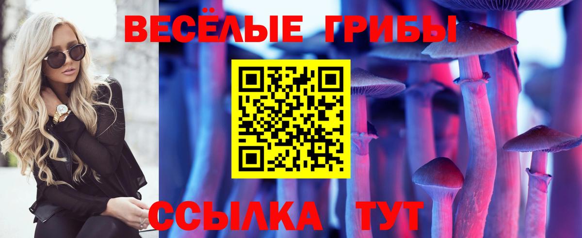 Моздок  Меф  Бошки Шишки  APVP СОЛЬ   COCAIN  АМФЕТАМИН кристаллы  КЕТАМИН  Меф МЯУ МЯУ   Вход с VPN  Продажа наркотиков  ГАШ 